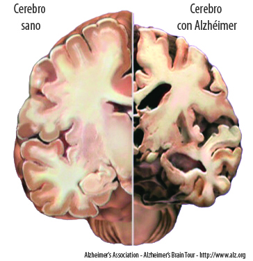 Conferencia en español light texto modificable