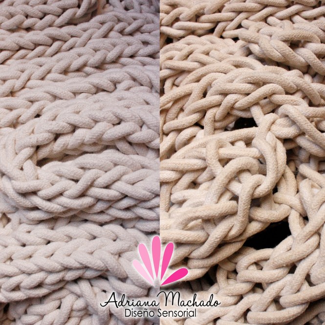 comparacion-cerebros-con-logo